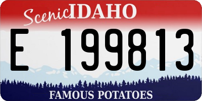 ID license plate E199813