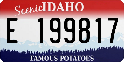 ID license plate E199817