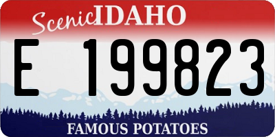 ID license plate E199823