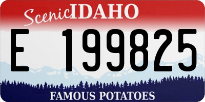 ID license plate E199825