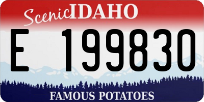ID license plate E199830