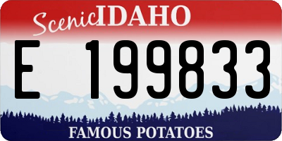 ID license plate E199833