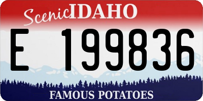 ID license plate E199836