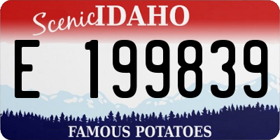ID license plate E199839