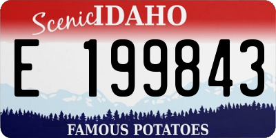 ID license plate E199843