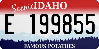 ID license plate E199855