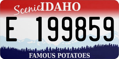 ID license plate E199859