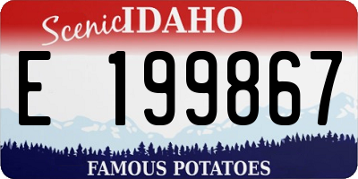 ID license plate E199867