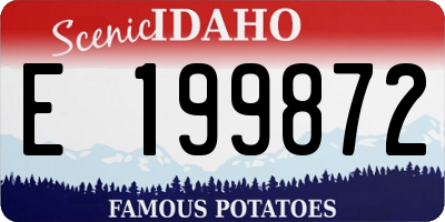 ID license plate E199872