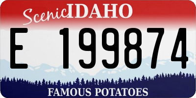 ID license plate E199874