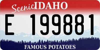 ID license plate E199881