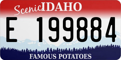 ID license plate E199884