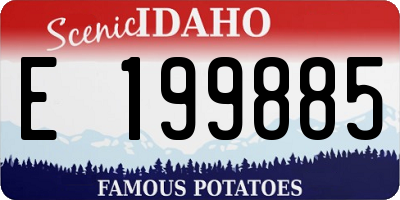 ID license plate E199885