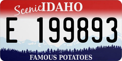 ID license plate E199893