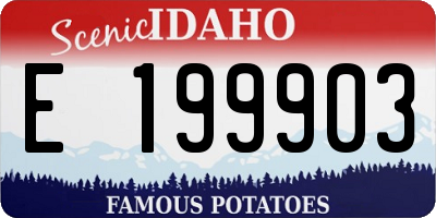 ID license plate E199903
