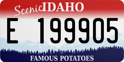 ID license plate E199905