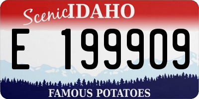 ID license plate E199909