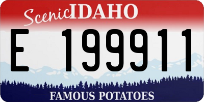ID license plate E199911