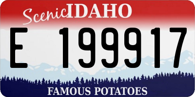 ID license plate E199917