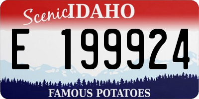 ID license plate E199924