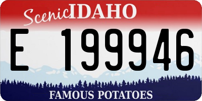 ID license plate E199946