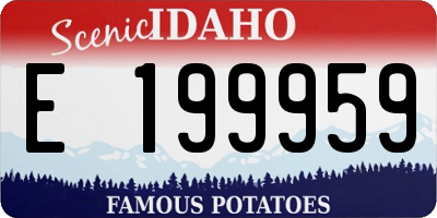 ID license plate E199959