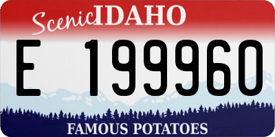 ID license plate E199960
