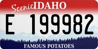 ID license plate E199982