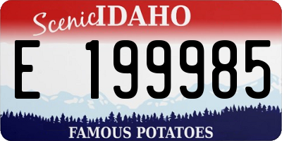 ID license plate E199985