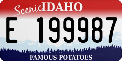 ID license plate E199987