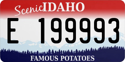 ID license plate E199993