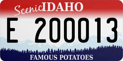 ID license plate E200013