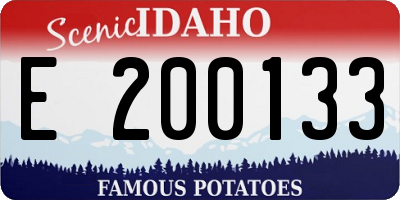 ID license plate E200133