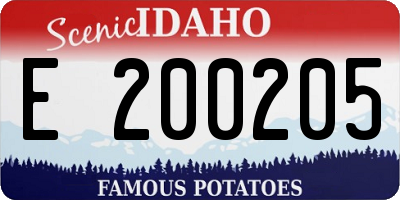 ID license plate E200205