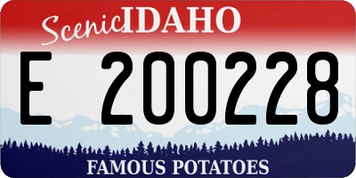 ID license plate E200228