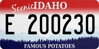 ID license plate E200230