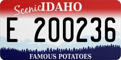 ID license plate E200236