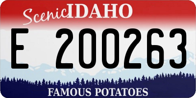 ID license plate E200263