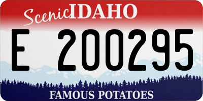 ID license plate E200295