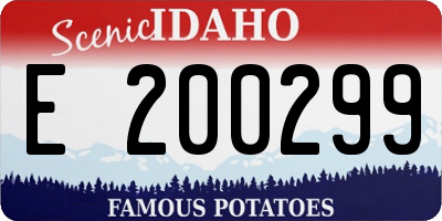 ID license plate E200299