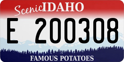 ID license plate E200308