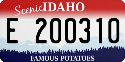 ID license plate E200310