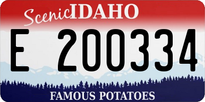 ID license plate E200334