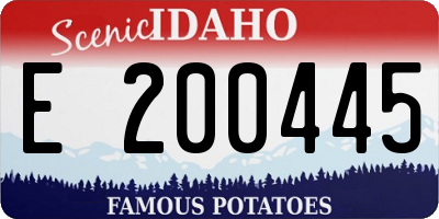 ID license plate E200445