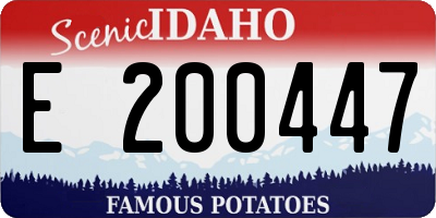 ID license plate E200447