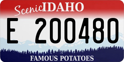 ID license plate E200480