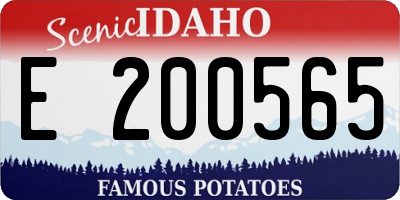 ID license plate E200565