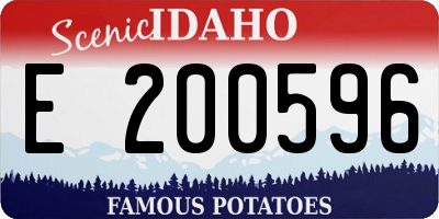 ID license plate E200596