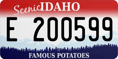ID license plate E200599