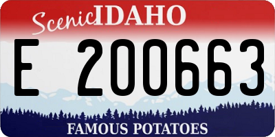 ID license plate E200663